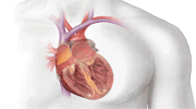 王晶追星愚蠢论_不想沉迷追星就搜明星的黑料,_王晶资本做局